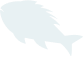 swiming-fish4